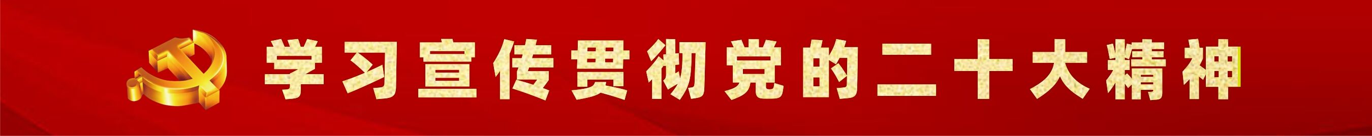 深入学习贯彻党的二十大精神