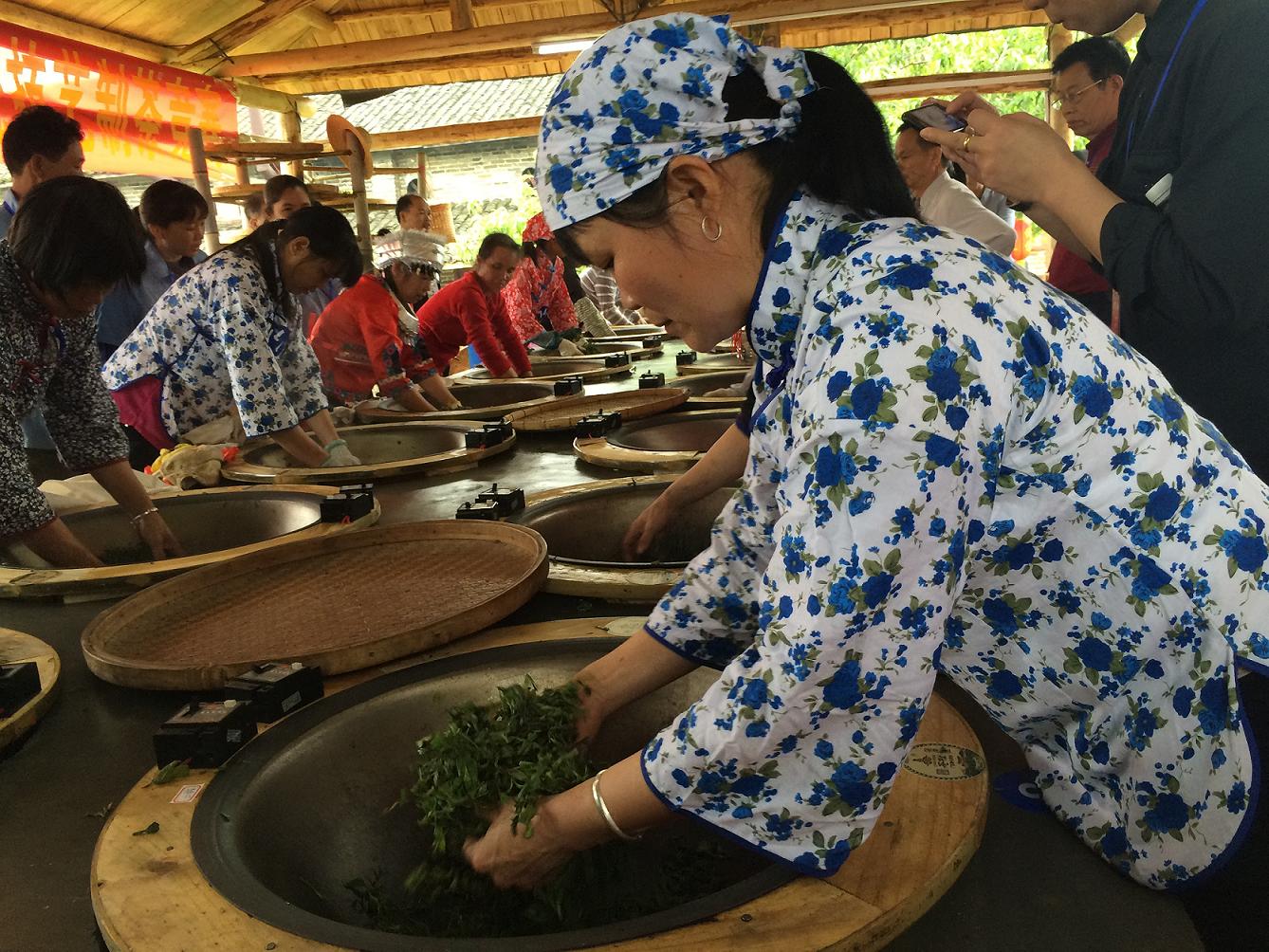 制茶现场1.JPG