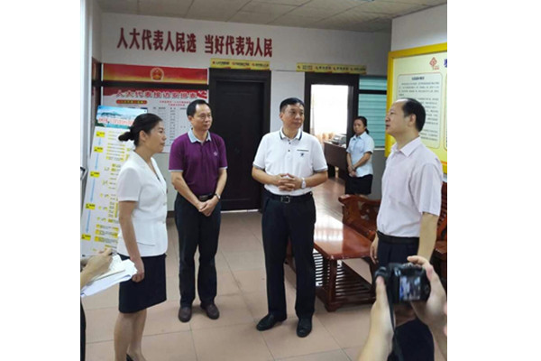 市领导到枣冲社区调研