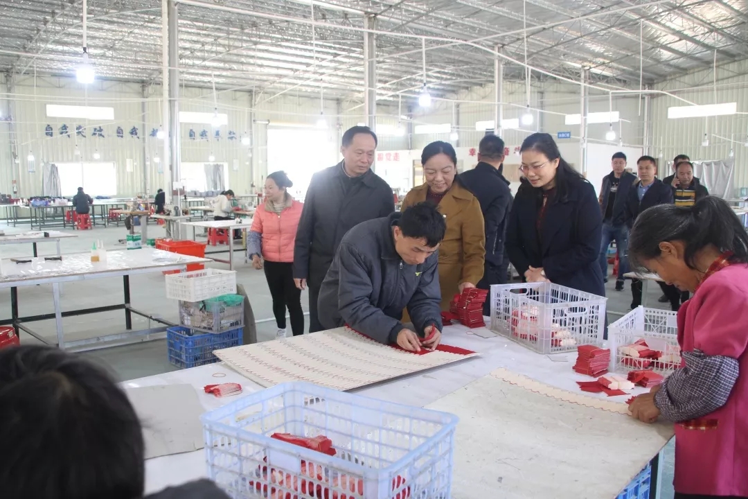 梁耀忠到岑溪市调研易地扶贫搬迁安置点建会工作