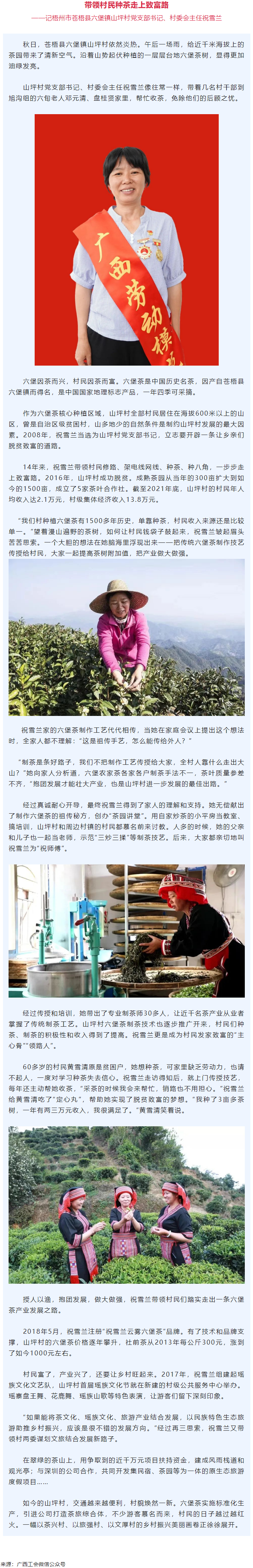 二十大代表风采丨祝雪兰：带领村民种茶走上致富路.png