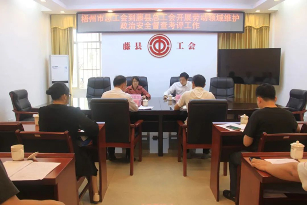梧州市总工会领导到藤县开展劳动领域维护政治安全督查考评工作
