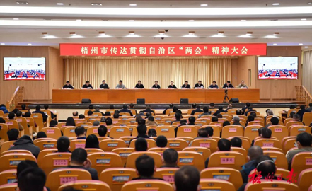 以“起步就要提速 首战就是决战”的奋斗姿态开启新篇章丨梧州市召开传达贯彻自治区两会精神大会