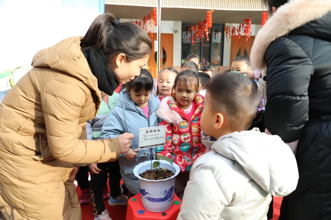 市妇幼保健院开展中医药文化进校园活动
