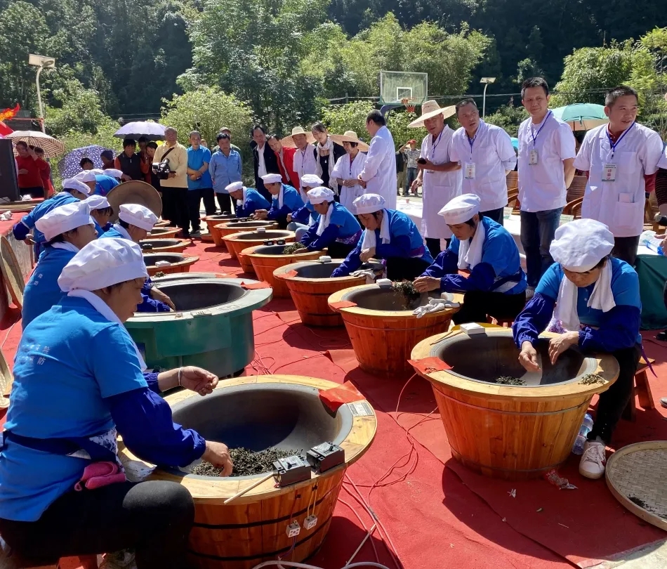 苍梧县总工会举办2020年村级传统六堡茶制茶大赛