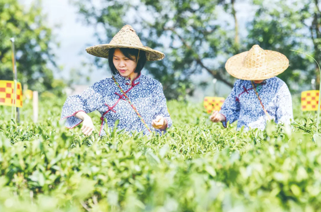 国家批复同意，梧州筹建！