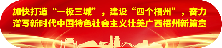 刘宁在梧州苍梧县蒙山县岑溪市调研时强调：完整准确全面贯彻新发展理念，发挥优势突出特色推动县域经济高质量发展