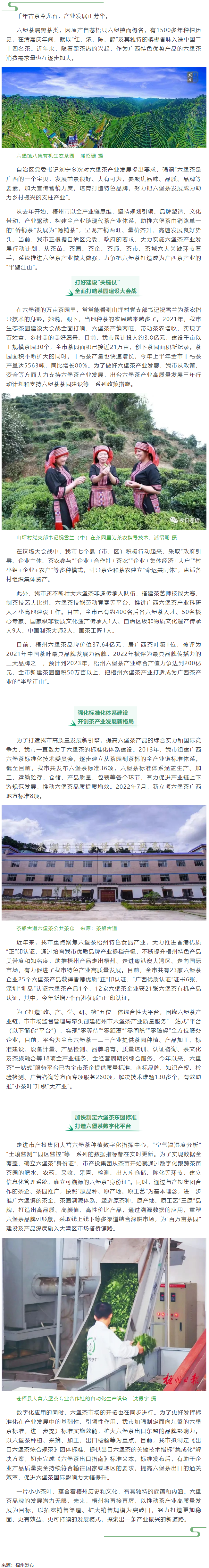 从一片叶子探索产业振兴新路子丨梧州市以全产业链思维推动六堡茶产业发展.png