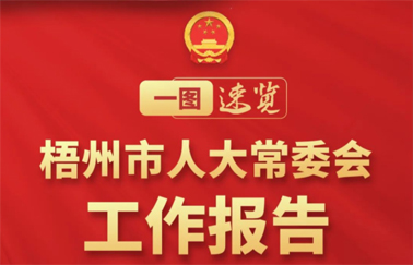 一图速览丨梧州市人大常委会工作报告