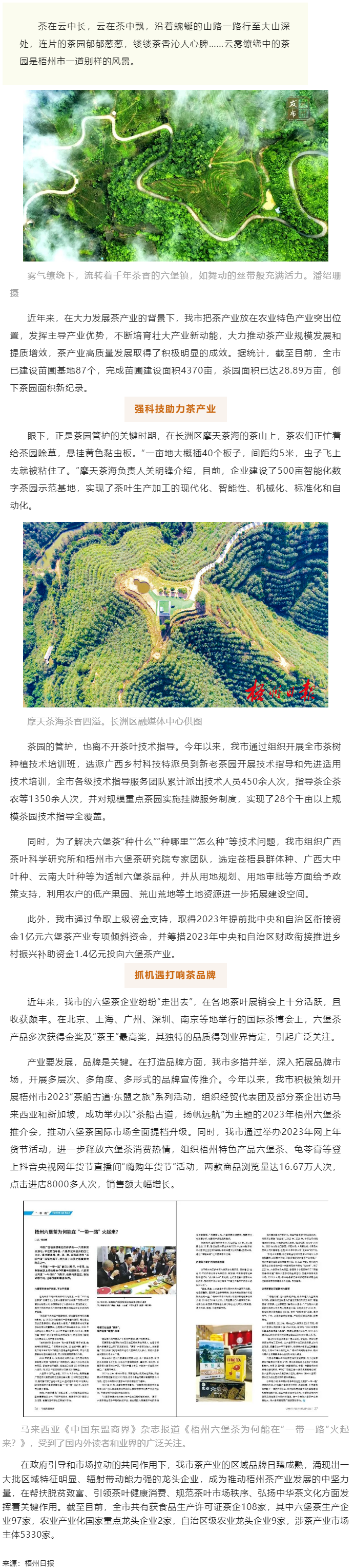 品牌强茶驱动特色产业提质增效丨梧州市加快推动茶产业高质量发展.png