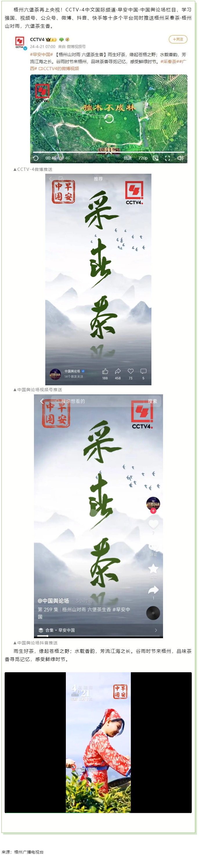 央视、学习强国等十多个平台同时推送梧州采春茶·梧州六堡茶.png