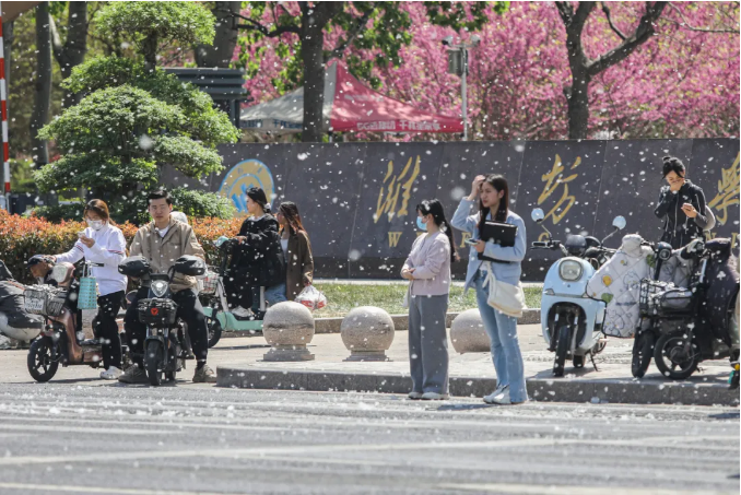 微信图片_20240423164957.png