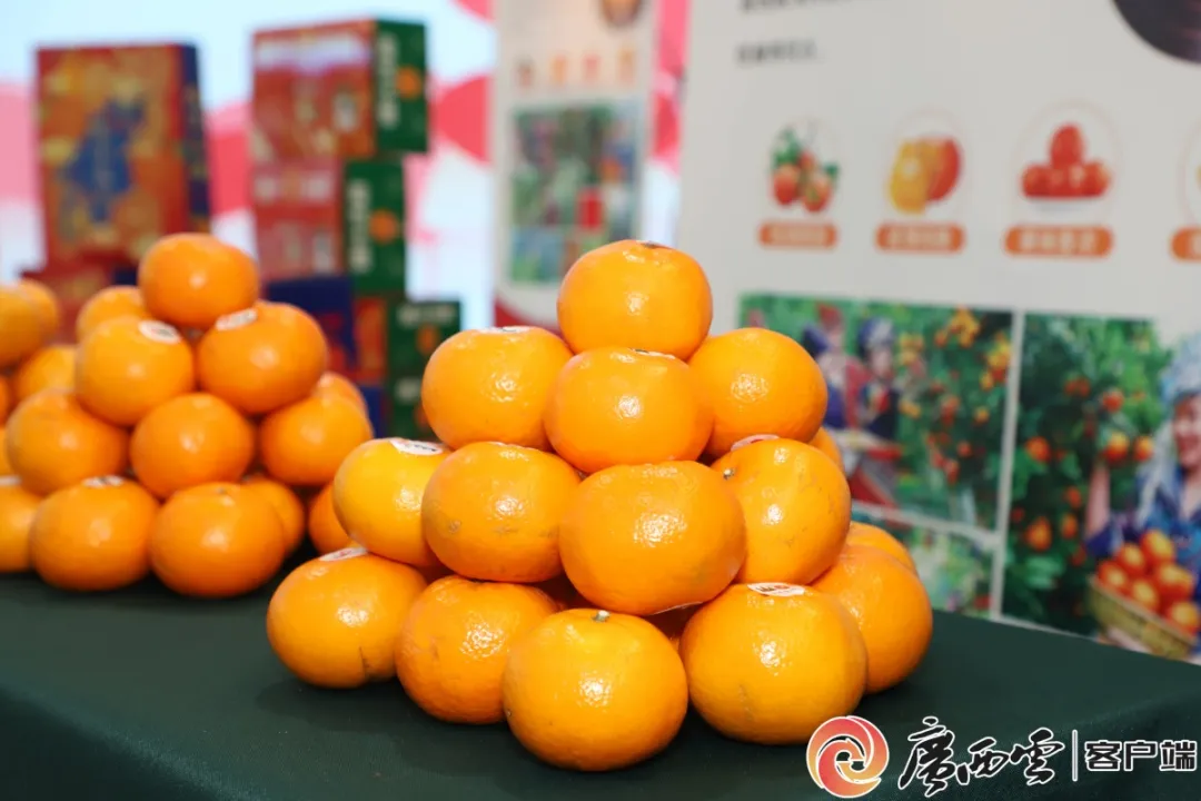 广西日报5.jpg