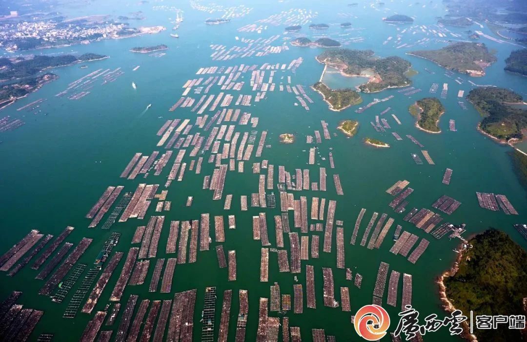 广西日报9.jpg