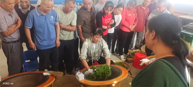蒙山县总工会举办“送培创工程”手工制作炒茶技能培训班
