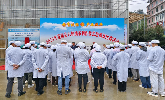2025年苍梧县六堡油茶制作技艺培训及比赛活动圆满落幕！