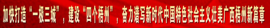 加快打造“一级三城市”，建设“四个梧州”，奋力谱写新时代中国特色社会主义壮美广西梧州新篇章