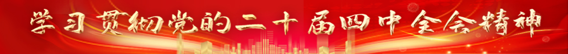 学习党的二十届四中全会精神