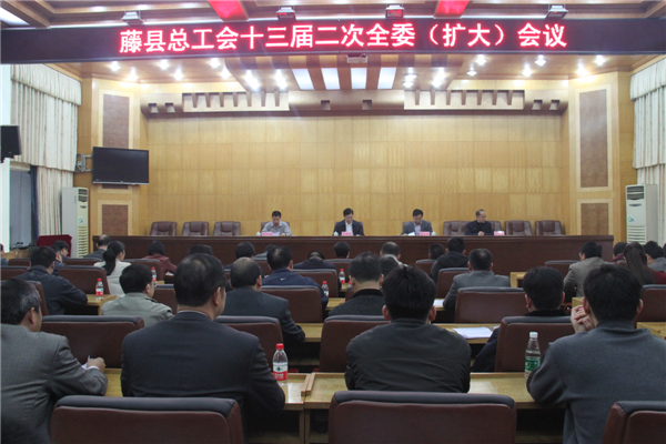 藤县总工会召开十三届二次全委(扩大)会议