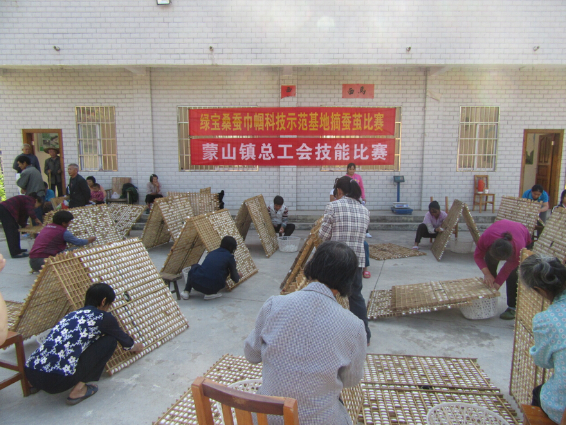 蒙山镇总工会举办摘蚕茧比赛