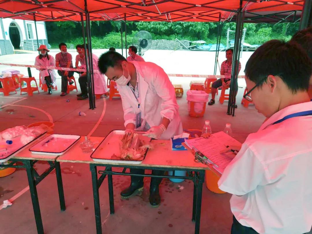 这个接地气的比赛有点意思