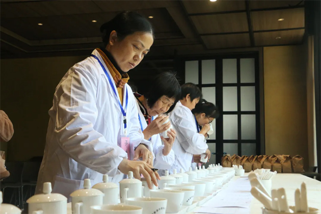 以赛促优 以评提质——2025年苍梧县第一届传统工艺六堡茶评比大赛圆满落幕