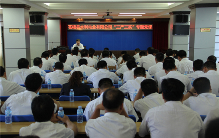 苍梧县水利电业有限公司开展 “三严三实”专题教育党课